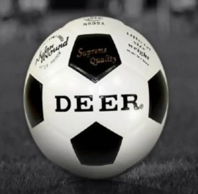 Deer -001.webp