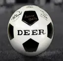 Deer -001.webp