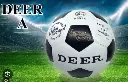Deer -002.webp