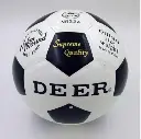 Deer -004.webp