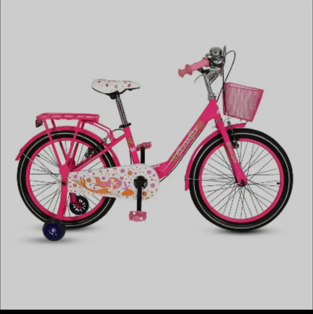 20" Duranta Steel 1-Spd Camellia