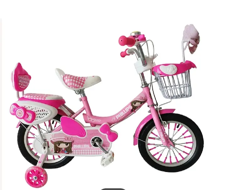 20" Phillips Ladies Cycle Steel