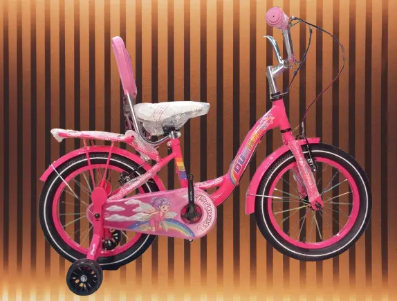 16" Duranta Steel 1-Spd Princess